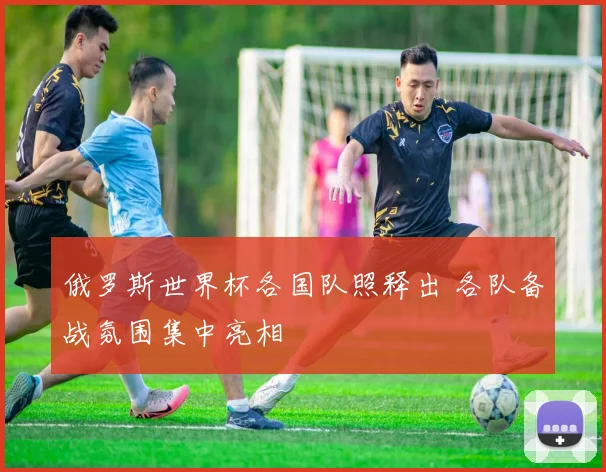 俄罗斯世界杯各国队照释出 各队备战氛围集中亮相