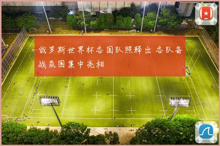 俄罗斯世界杯各国队照释出 各队备战氛围集中亮相
