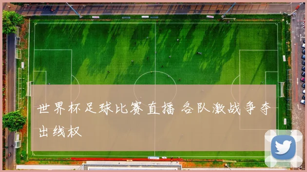 世界杯足球比赛直播 各队激战争夺出线权