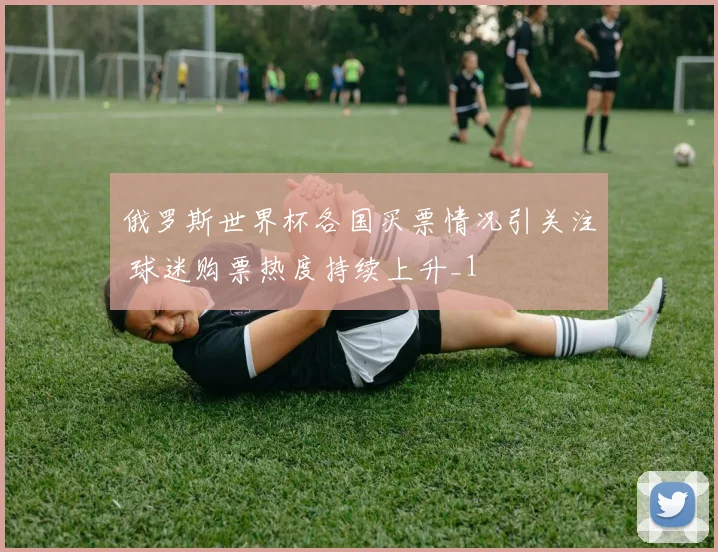 俄罗斯世界杯各国买票情况引关注 球迷购票热度持续上升_1