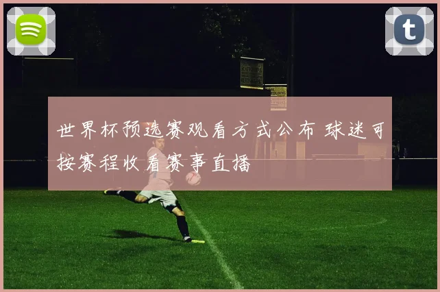 世界杯预选赛观看方式公布 球迷可按赛程收看赛事直播