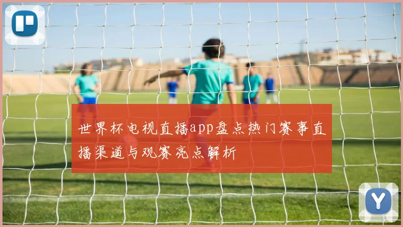 世界杯电视直播app盘点热门赛事直播渠道与观赛亮点解析