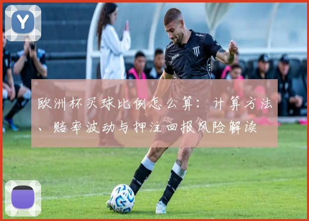 欧洲杯买球比例怎么算：计算方法、赔率波动与押注回报风险解读