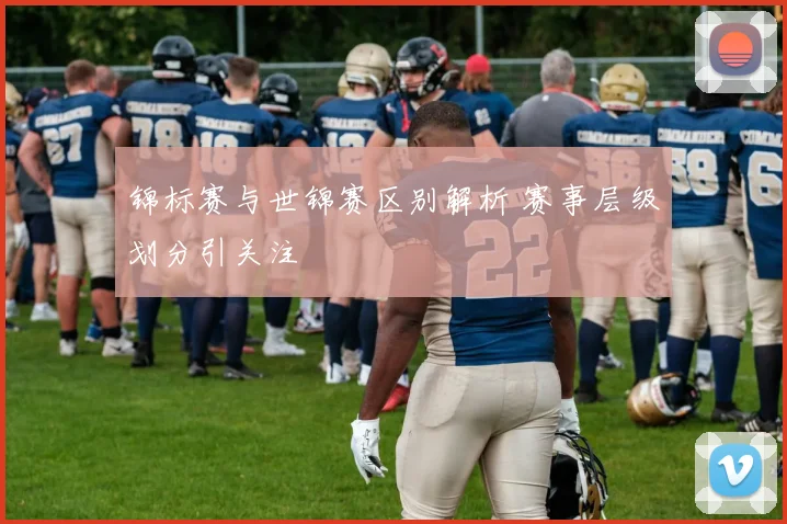 锦标赛与世锦赛区别解析 赛事层级划分引关注