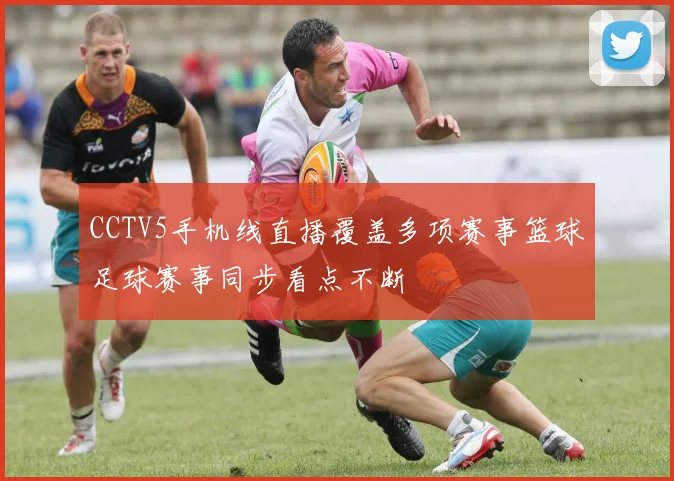 CCTV5手机线直播覆盖多项赛事篮球足球赛事同步看点不断